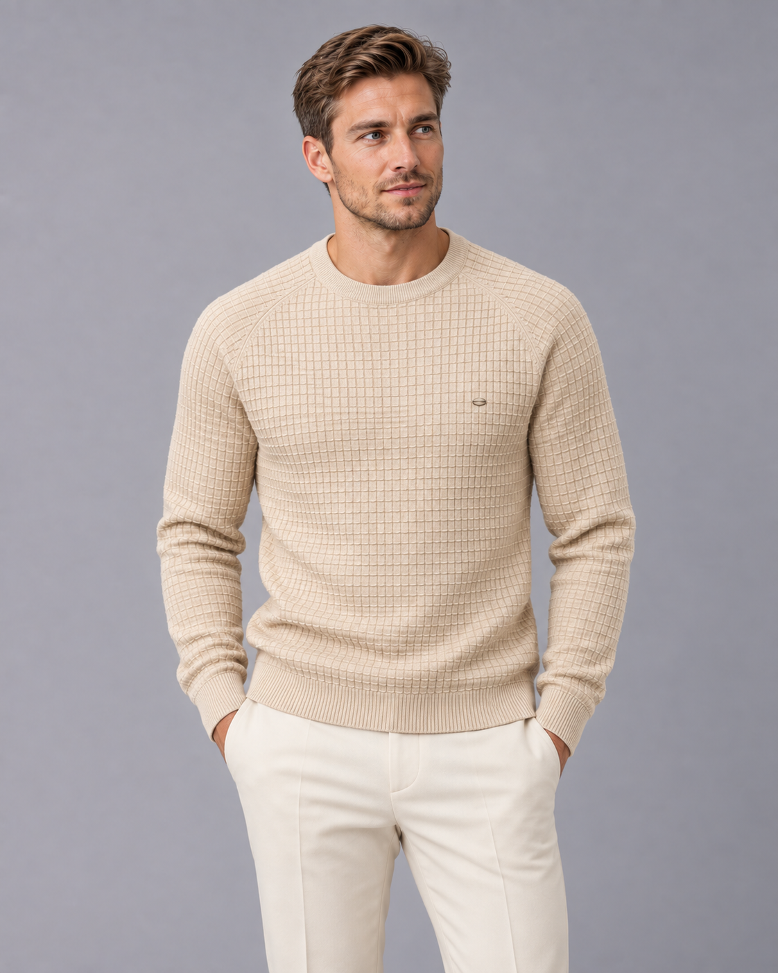 Men's Textured Waffle Knit Sweater | Cozy Long Sleeve Winter Jumper with Crewneck